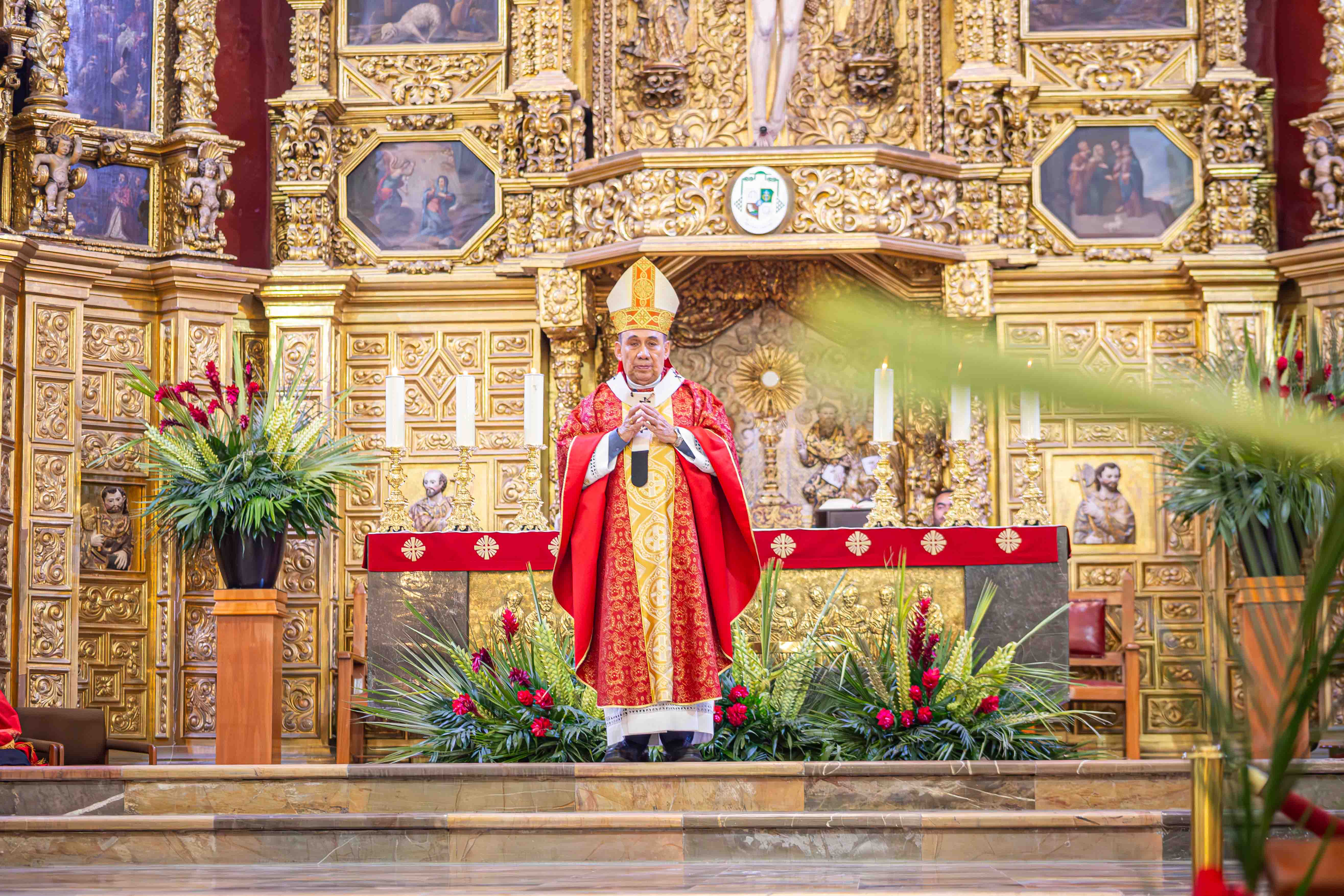 HOMILÍA EN EL DOMINGO DE RAMOS DE LA PASIÓN DEL SEÑOR