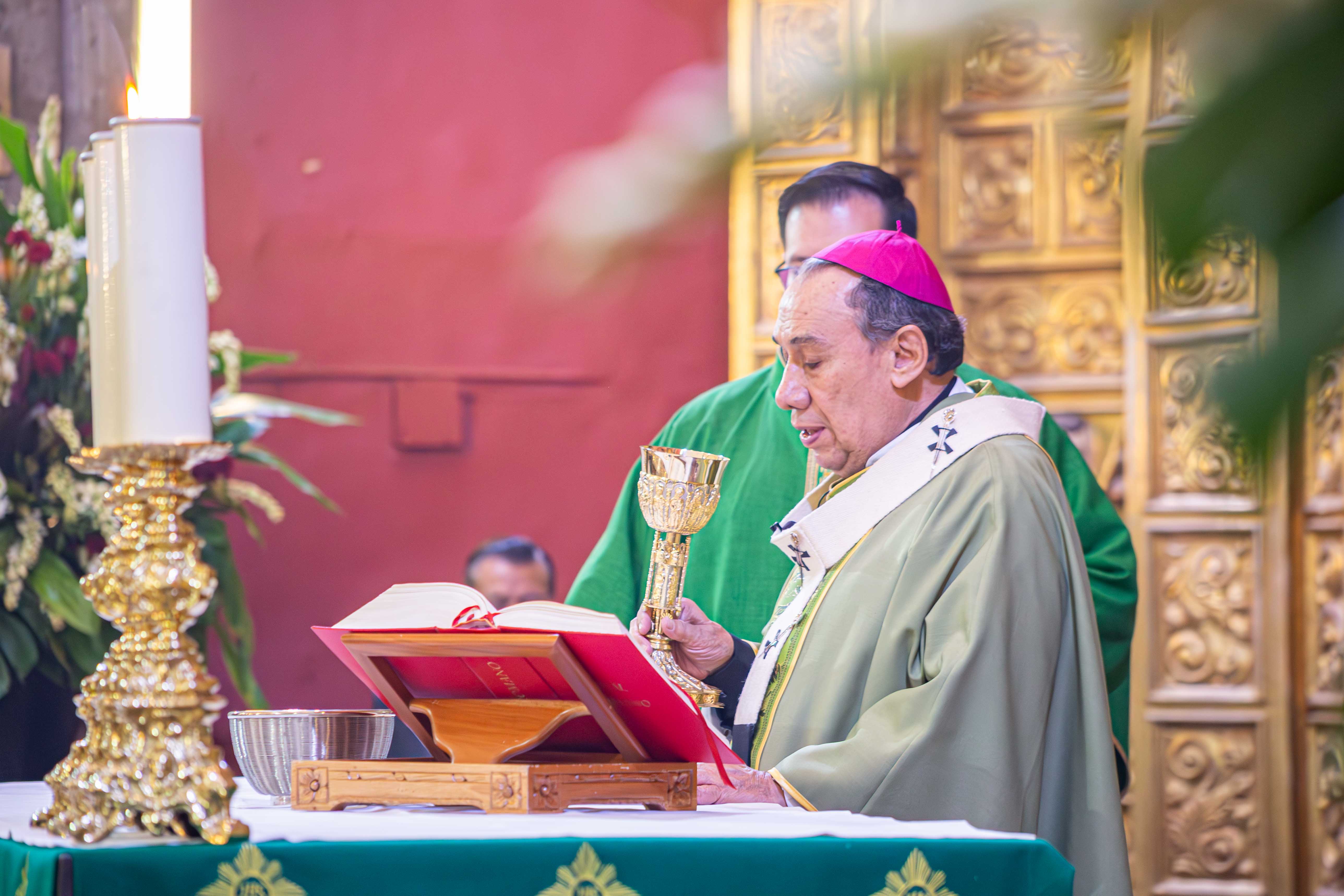 HOMILÍA EN EL XI DOMINGO DEL TIEMPO ORDINARIO
