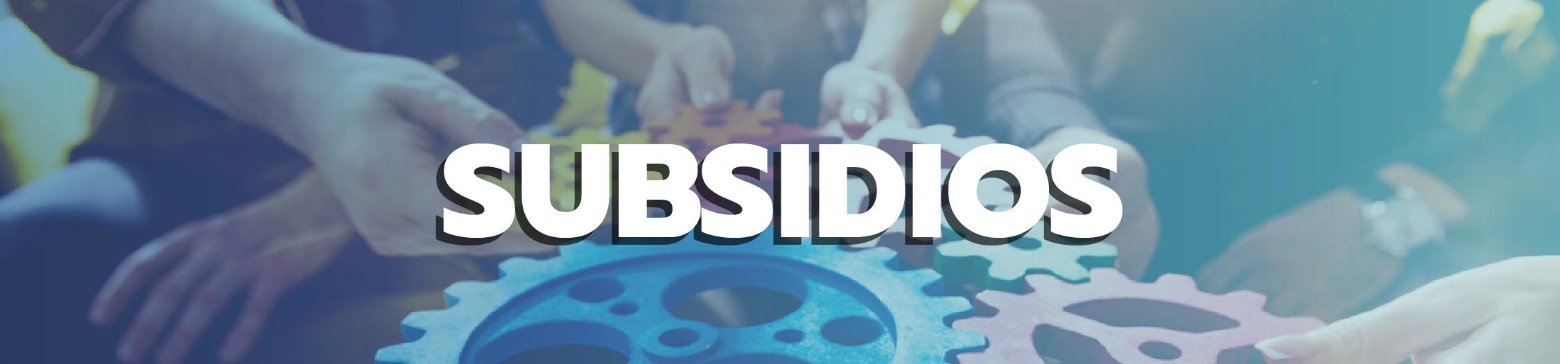 Encabezado Subsidios Vocacionales
